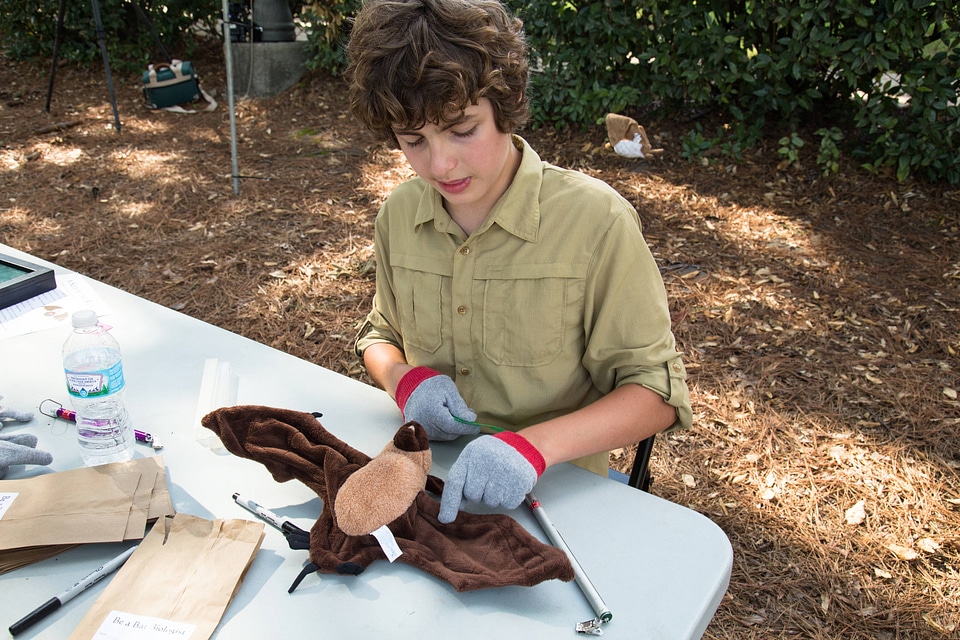 Time to examine a bat