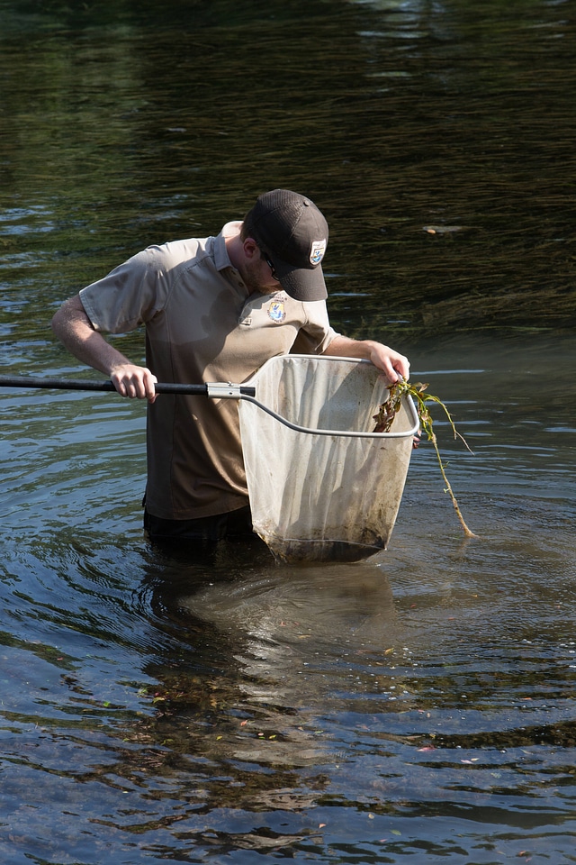 Biologists search for Fountain Darter-1