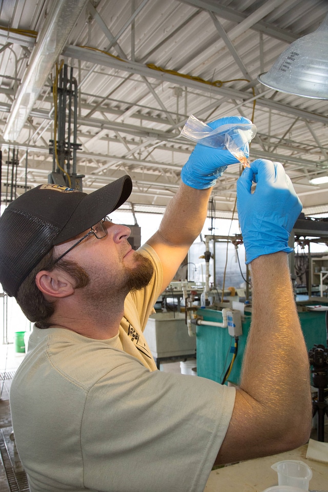 Biologists examine salamanders-2