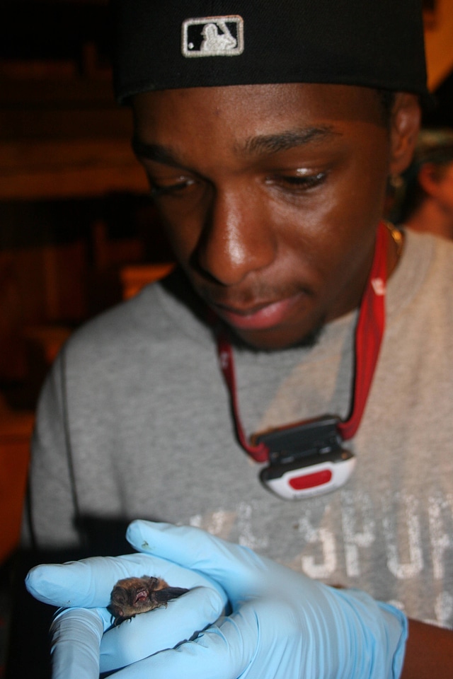 Boston University technician with bat