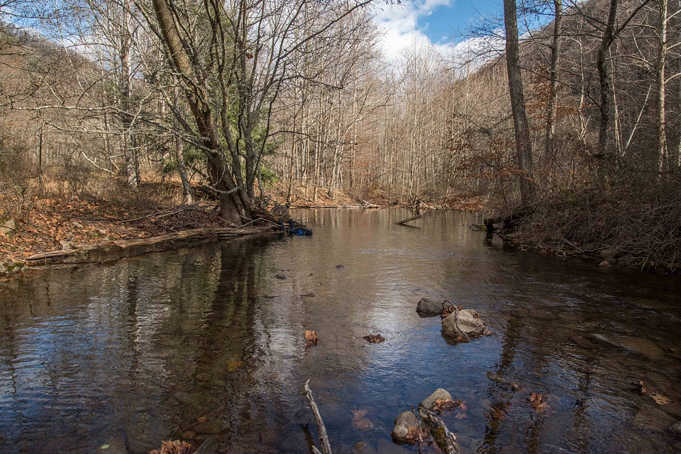 Photographer taking underwater pictures of brook trout in Seneca Creek-1