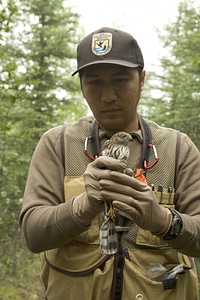 Service employee holding a Sharp-shinned Hawk