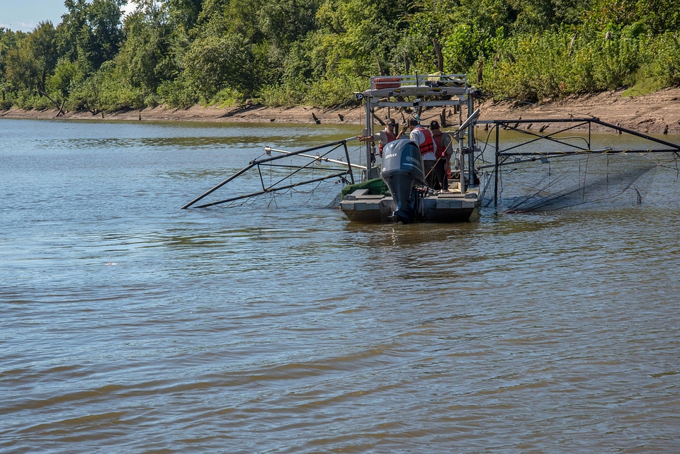 U.S. Fish and Wildlife Service boat, The Magna Carpa, searching for invasive carp-1
