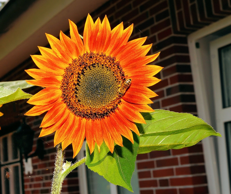 Summer colorful bright