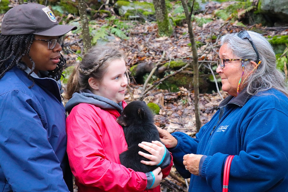 Tagging of black bear cubs-7