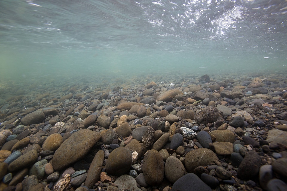 Gravel stream bottom on Ship Creek-1