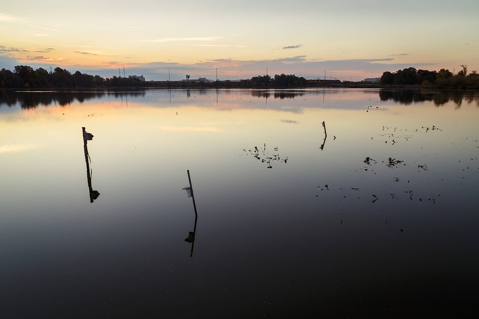 Sunrise at John Heinz National Wildlife Refuge