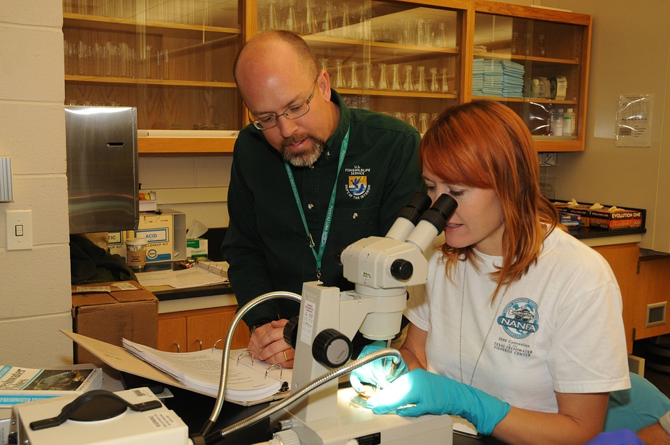 NCTC Fish ID instructor helps a student-2