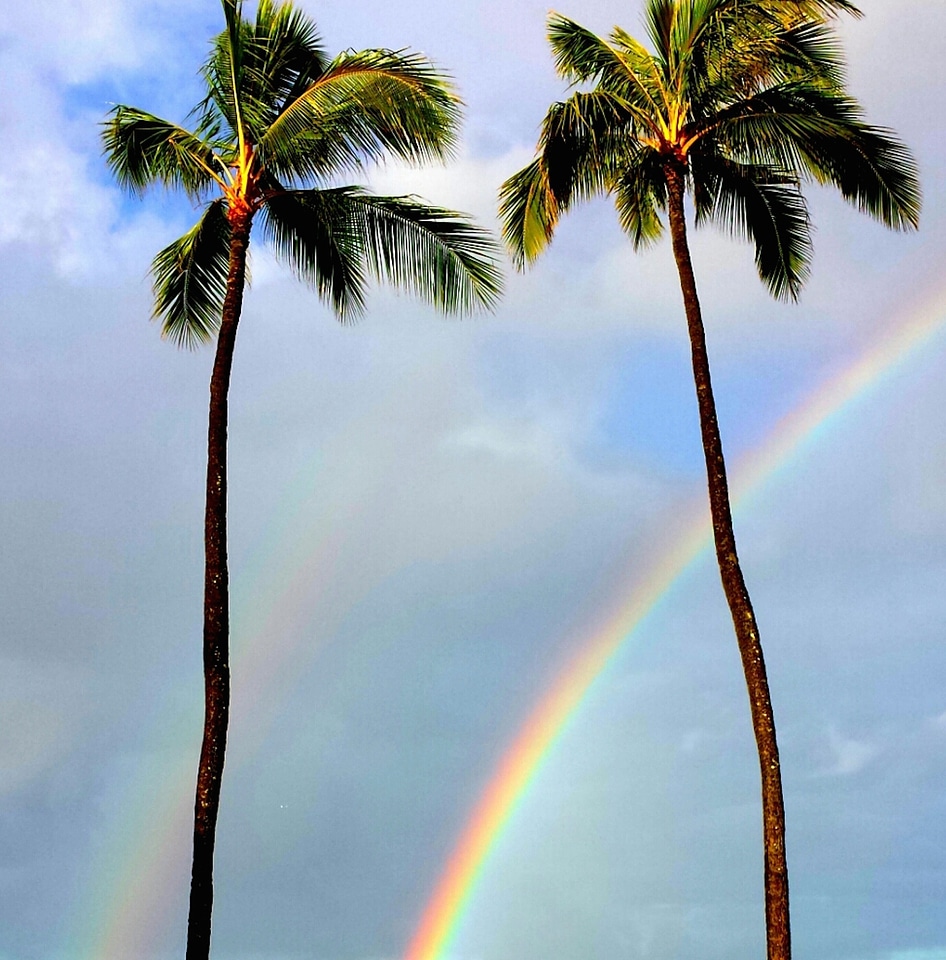 Paradise nature hawaiian