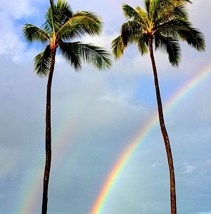 Paradise nature hawaiian photo