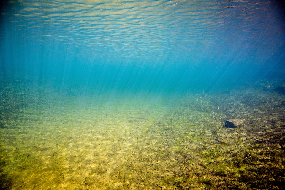 Underwater landscape