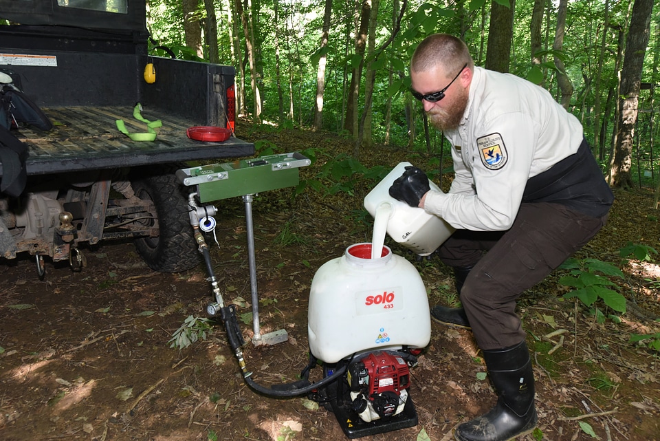NCTC land management specialist uses motorized injector to treat ash trees-2