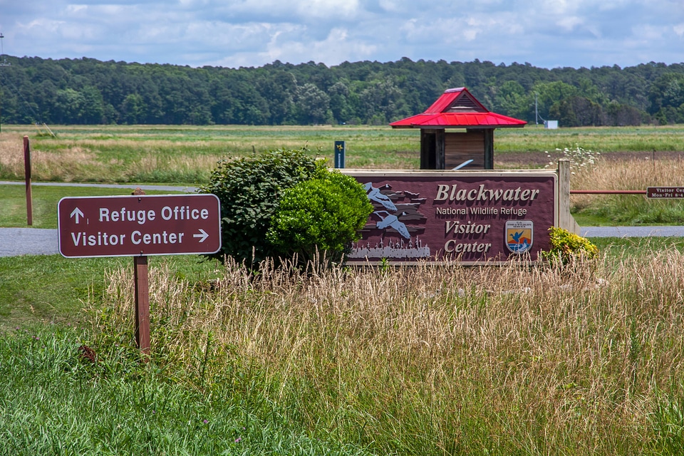 Blackwater NWR sign-1