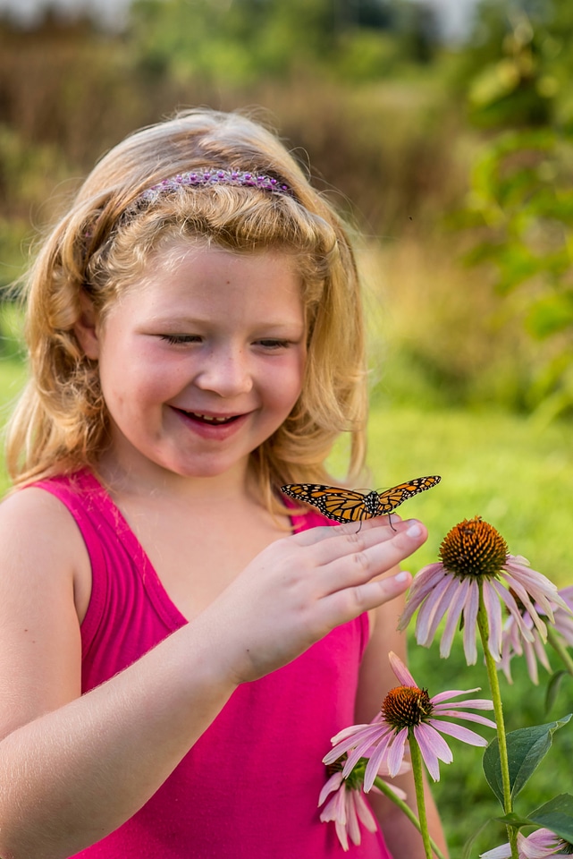 Little girl looking at monarch