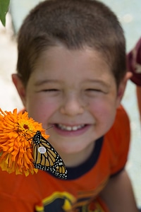 Tagged Monarch and child-1