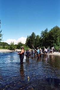 Combat fishing for King Salmon-2 photo