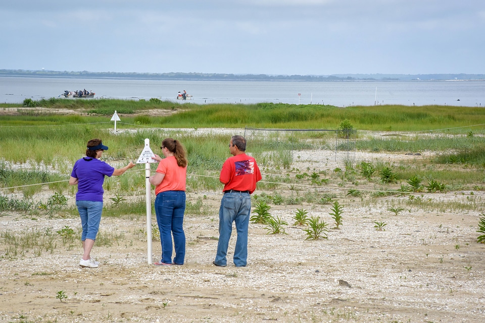 Visitors at shorebird nesting area