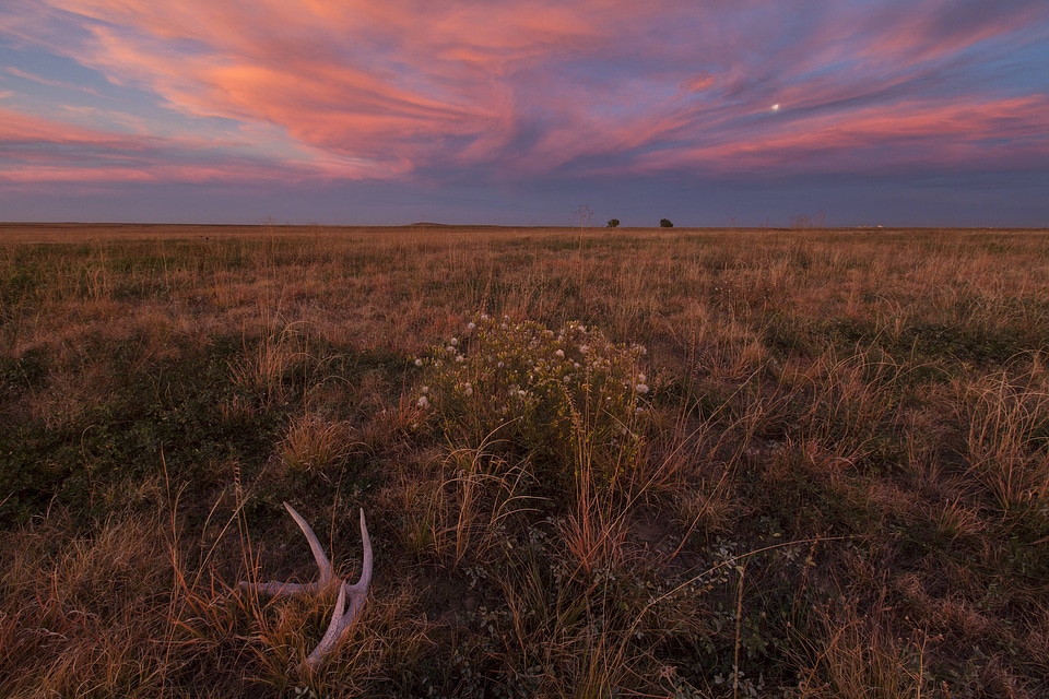Sunset at Rocky Mountain Arsenal National Wildlife Refuge