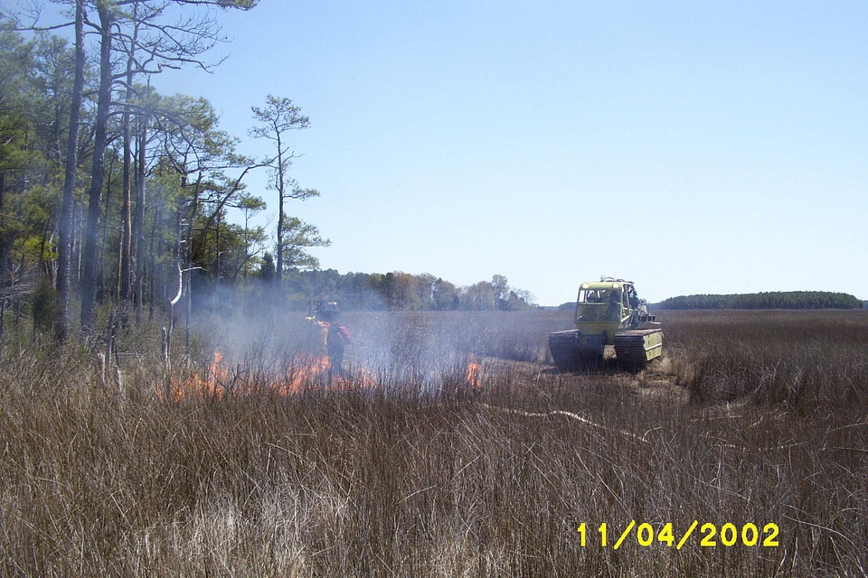 Prescribed Burn at Chesapeake Marshlands National Wildlife Refuge Complex-2