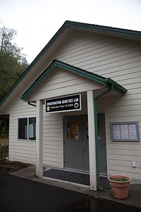 Conservation Genetics lab