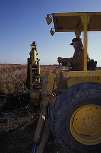 Wetland Management