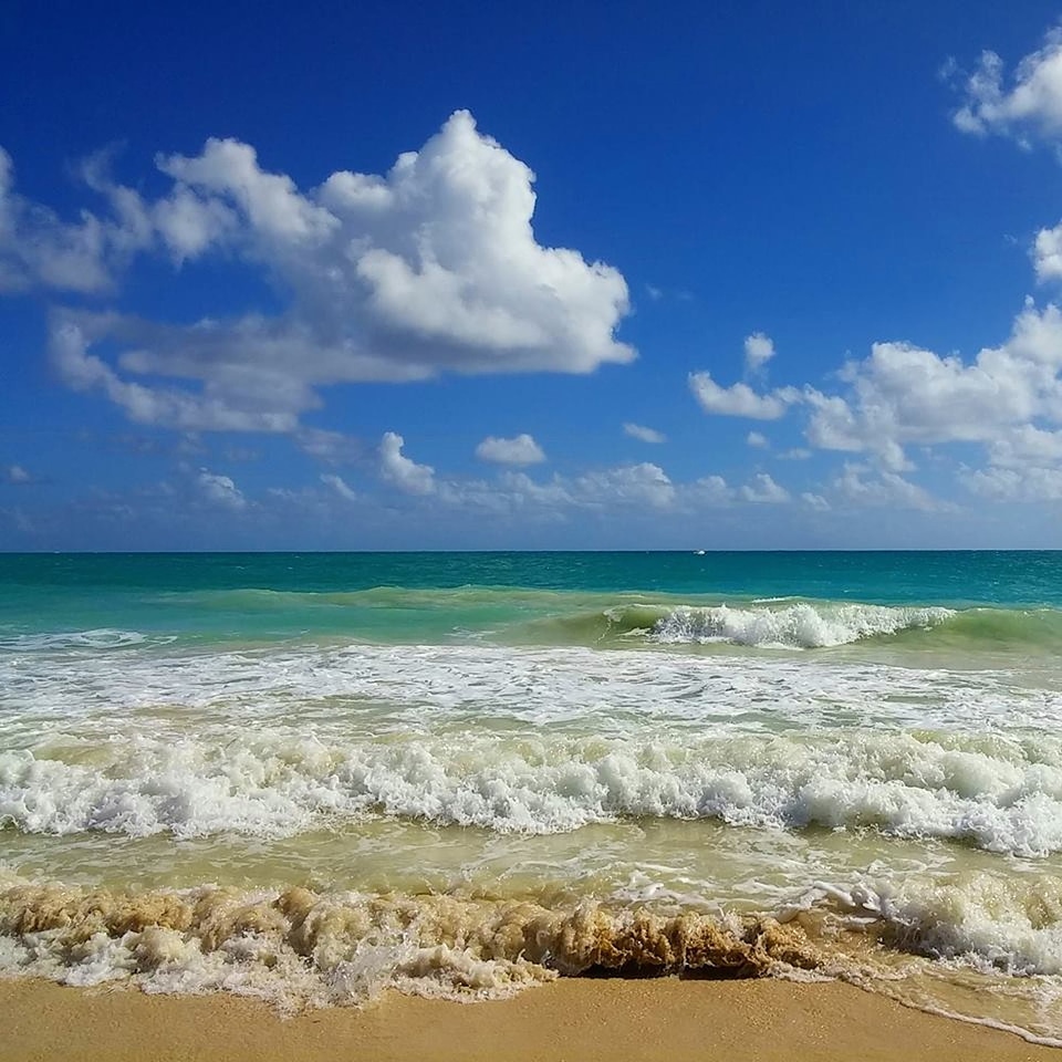 Sea nature tropical