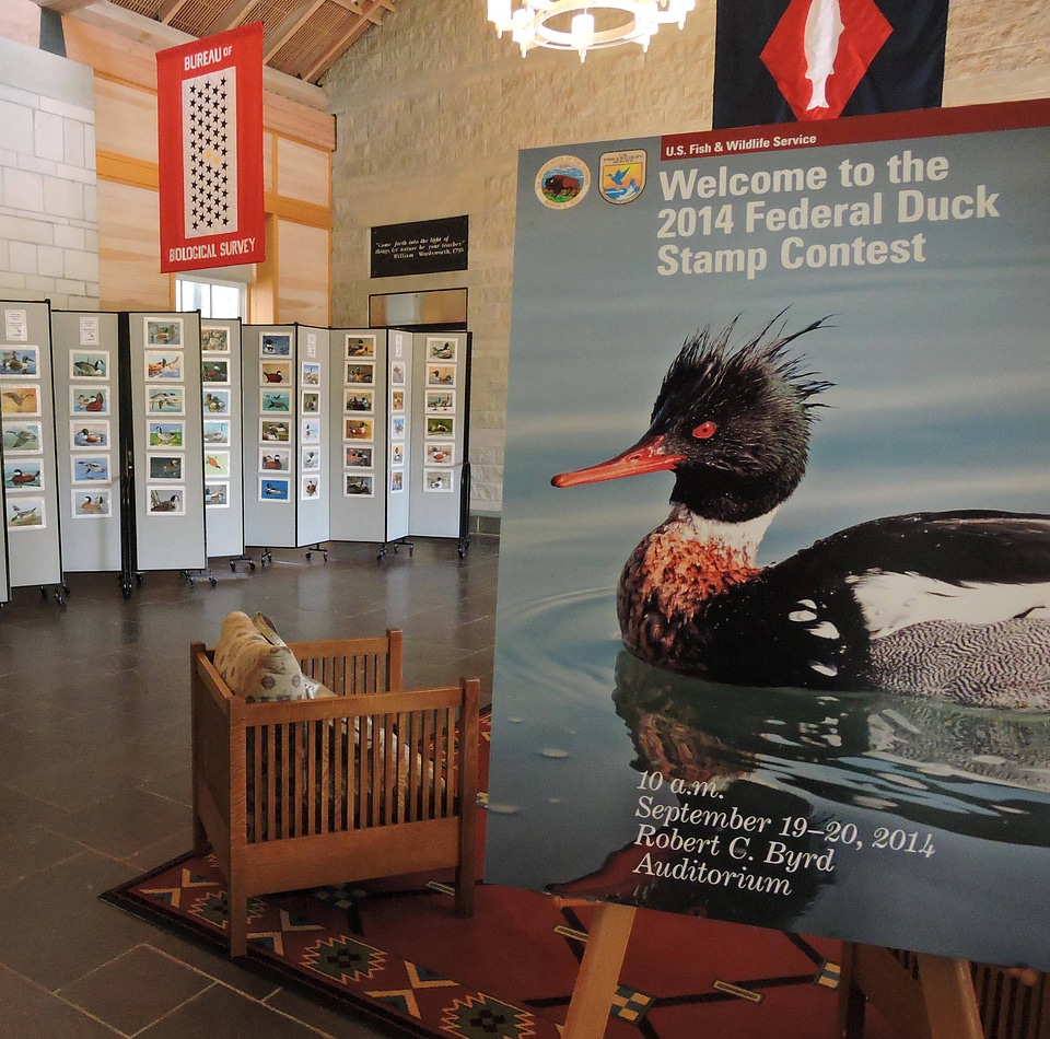 Federal Duck Stamp Art Contest-1