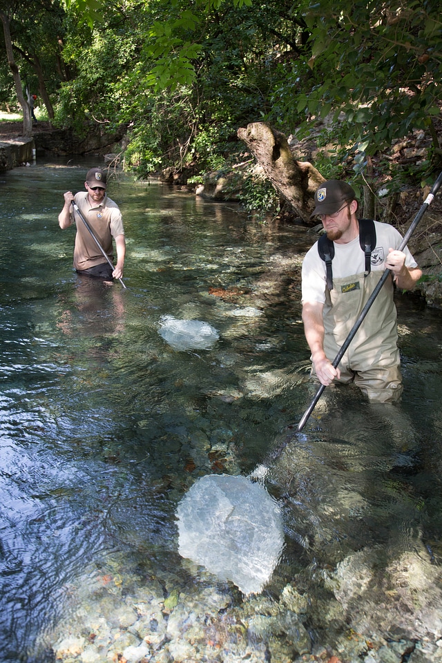 Biologists search for Fountain Darter-1