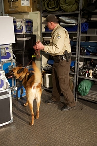Law enforcement with K-9-2