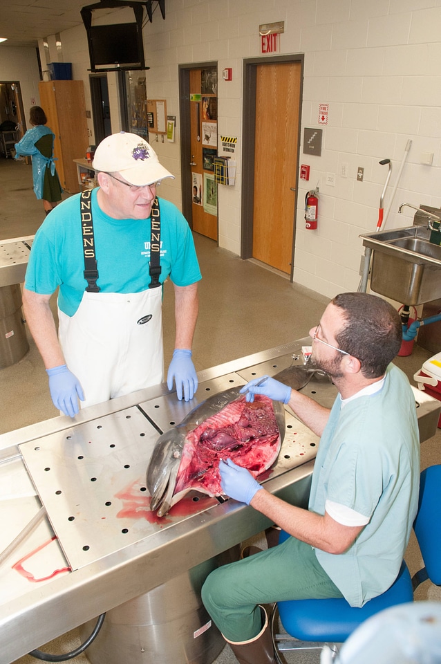 Marine Mammal Stranding Course at NCTC-2