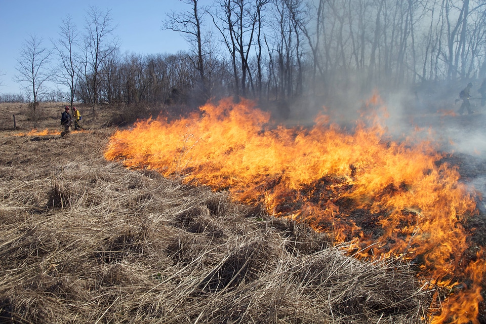 Firefighters torching field-1
