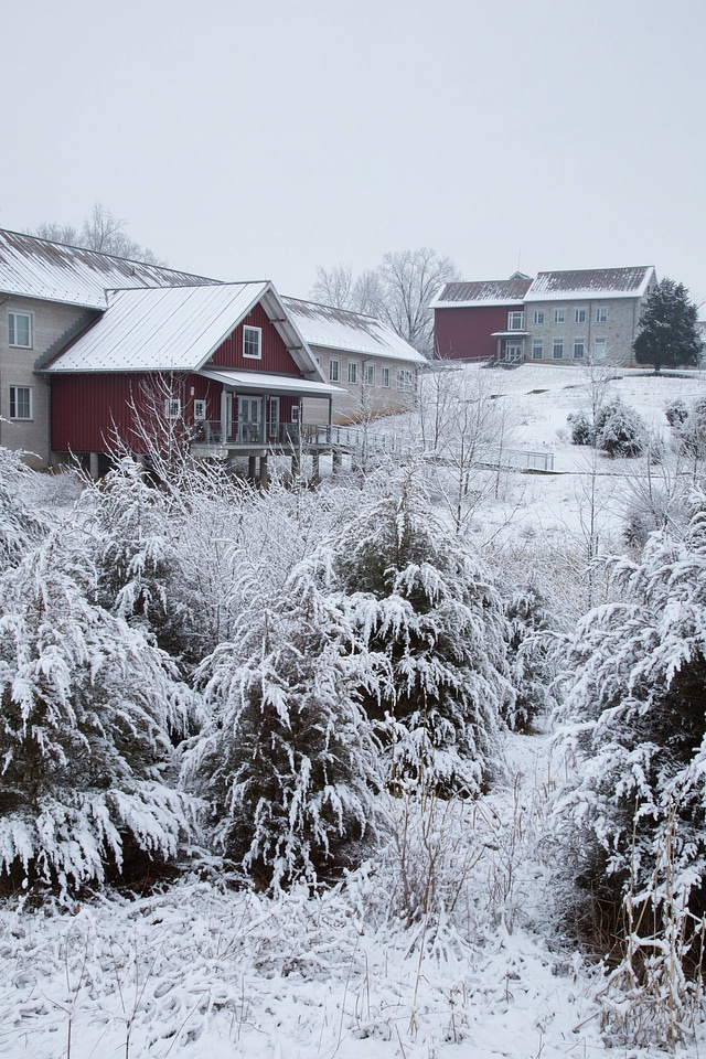 Snow on buildings-1