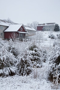 Snow on buildings-1