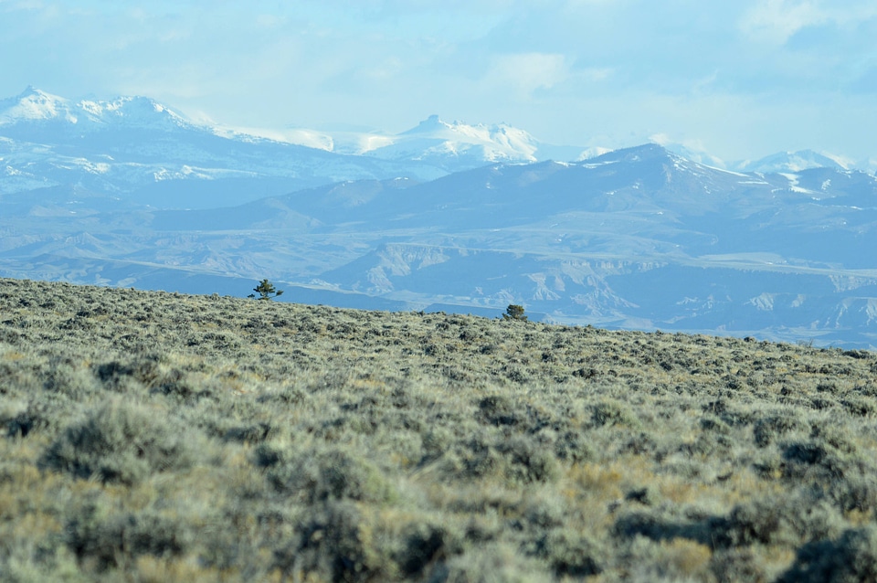 Wind River Reservation landscape