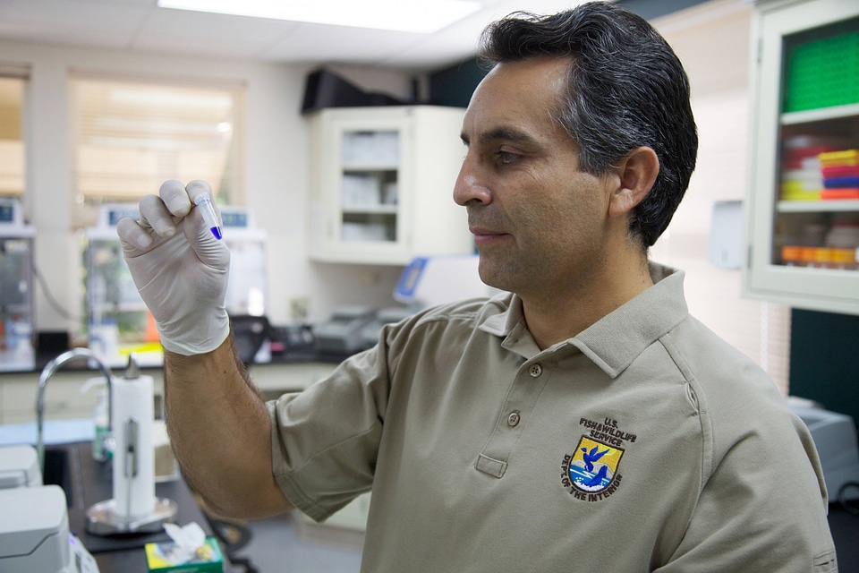 Service scientist at fish health center-3