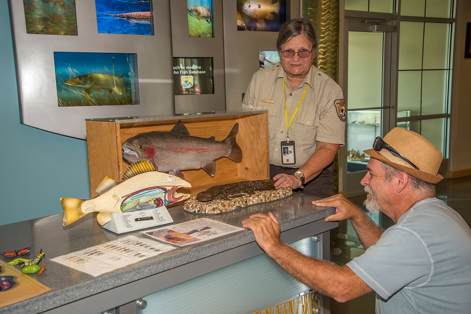 Visitor services specialist shows visitor fish and hellbender displays-3