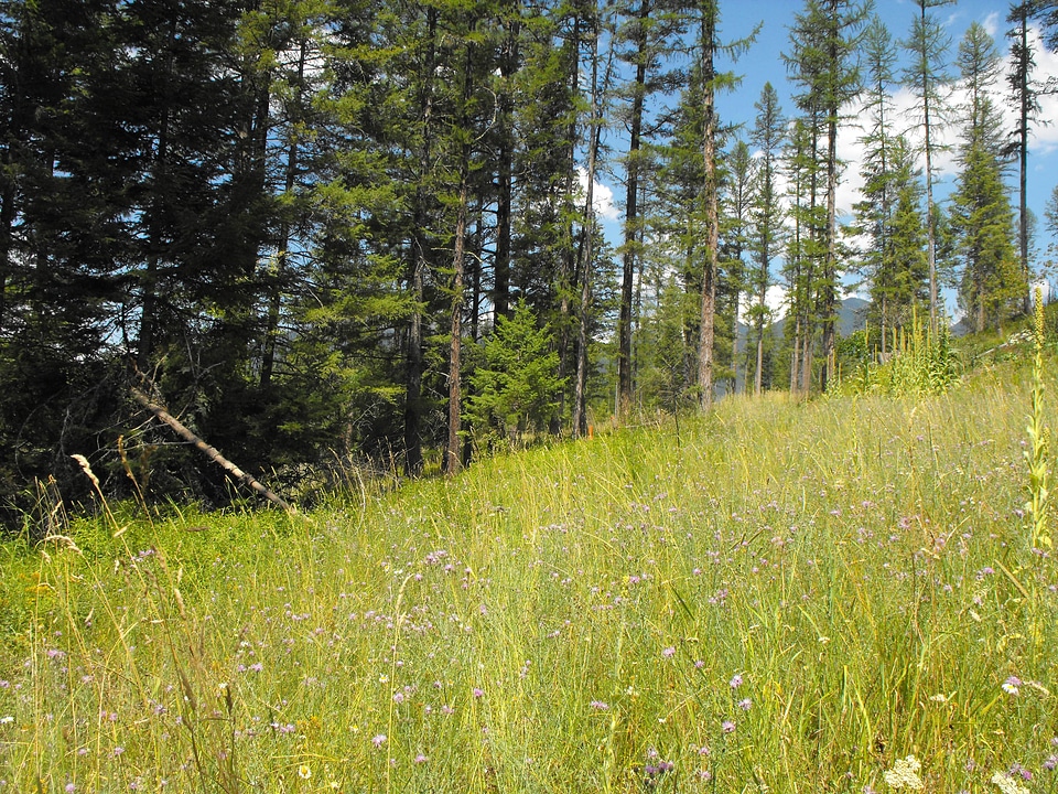 North acquisition boundary at Creston National Fish Hatchery