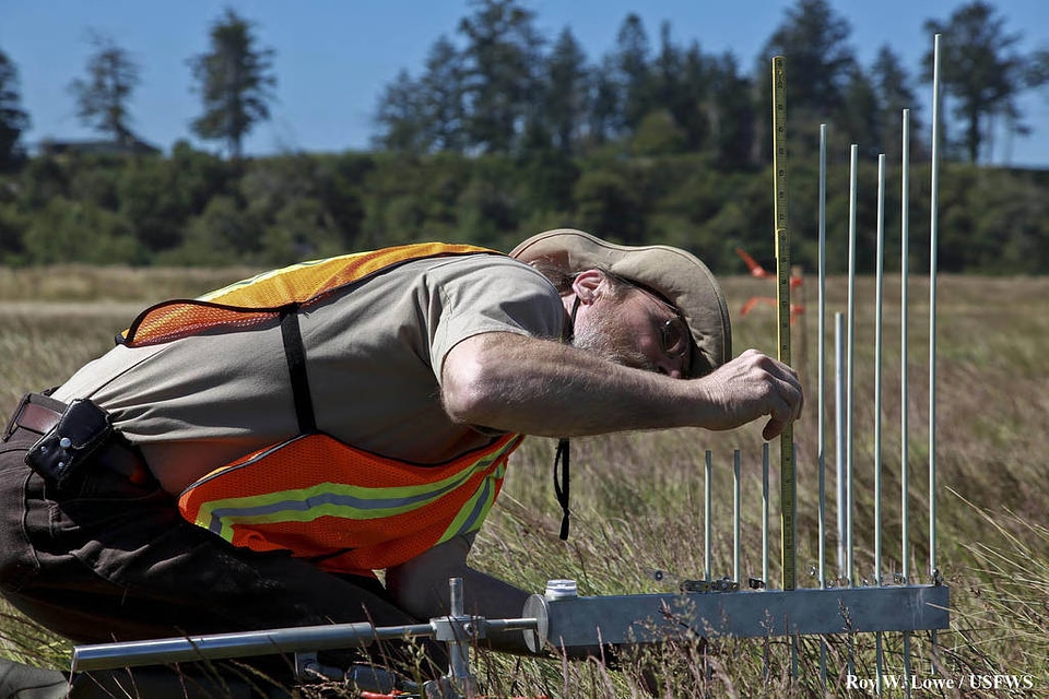 Surface Elevation Monitoring photo