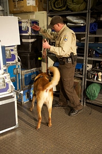 Law enforcement with K-9-1