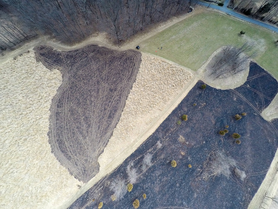 Drone taking aerial photograph of a perscribed burn-7