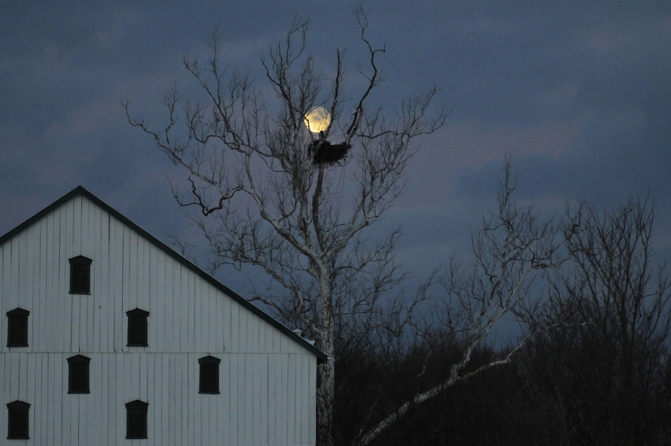 NCTC eagles nest at night-1