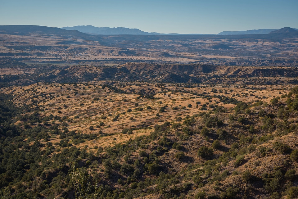 Gila National Forest in New Mexico-1