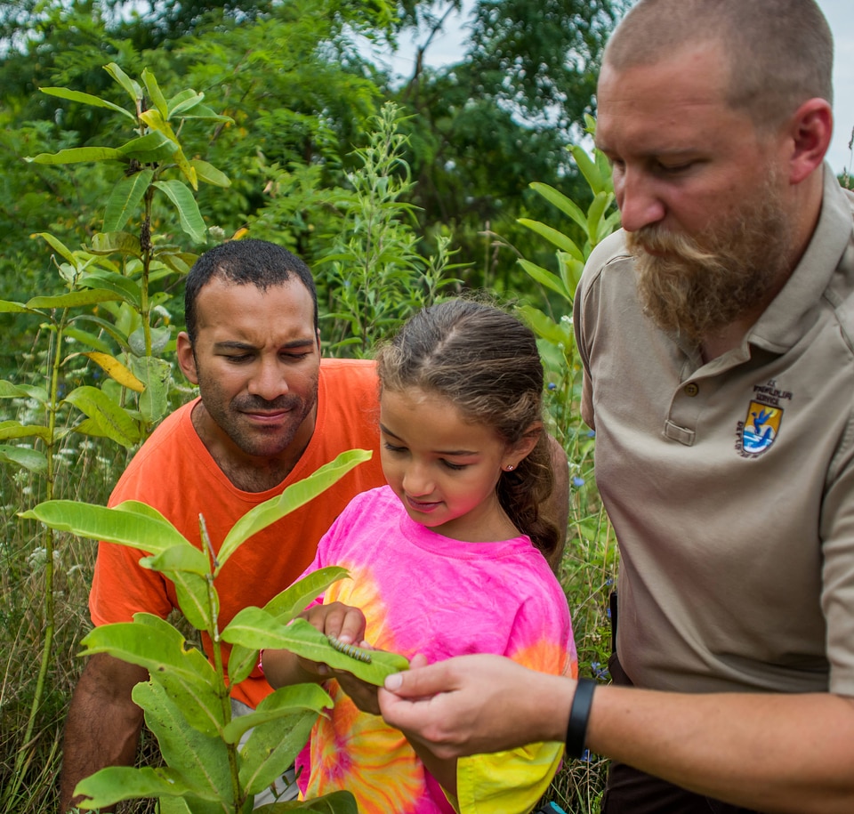 FWS employee shows a young girl (and dad) a Monarch caterpillar-9