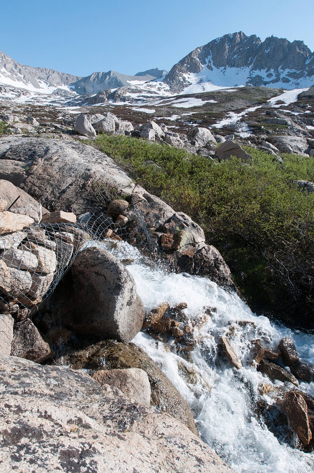 Barrier protects mountain yellow-legged frogs from nonnative tro-6