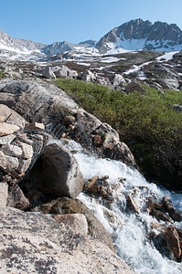 Barrier protects mountain yellow-legged frogs from nonnative tro-6
