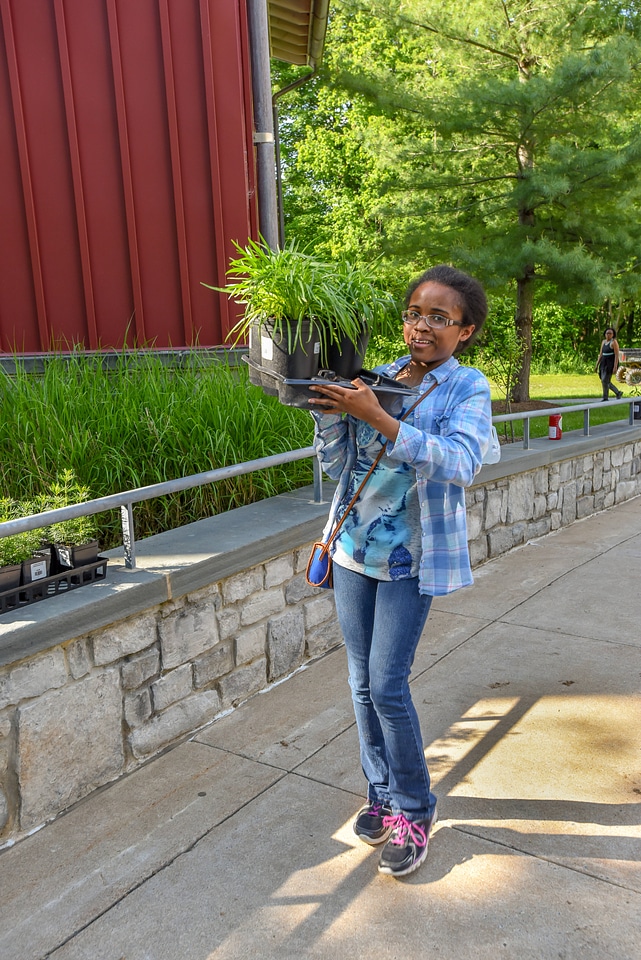 Volunteer planting a monarch garden-6