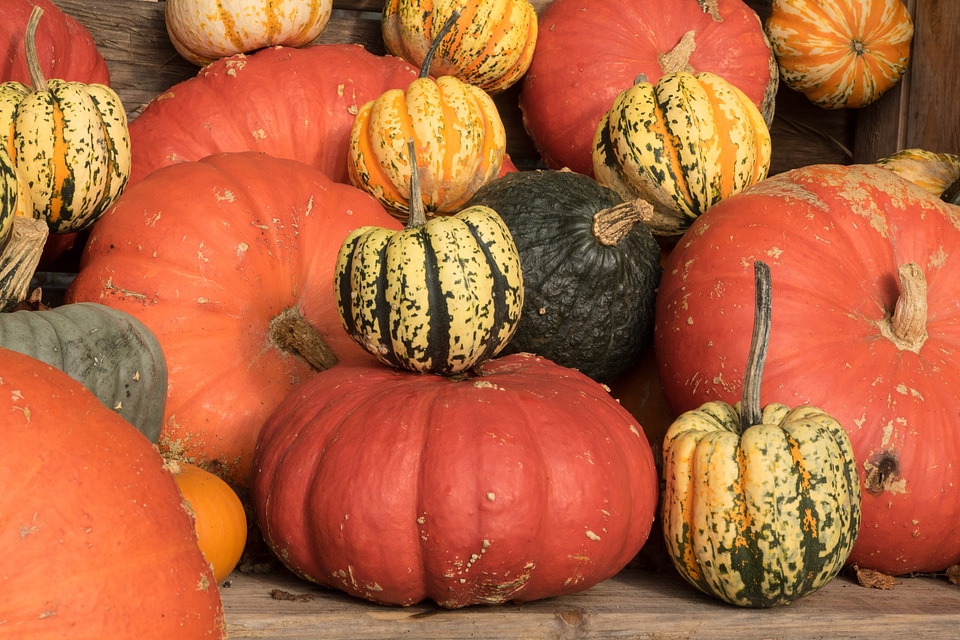Yellow gourd decoration