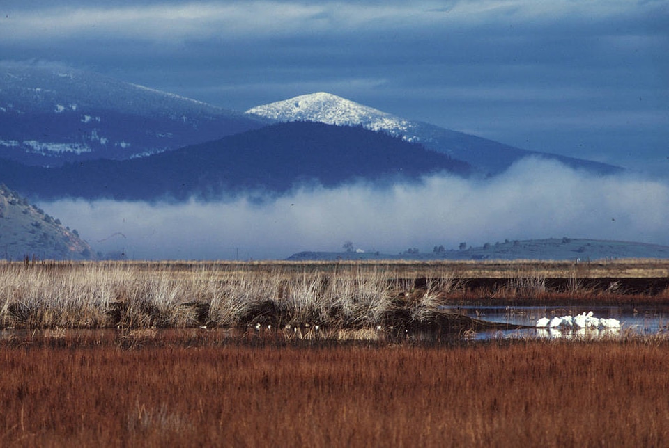 Lower Klamath National Wildlife Refuge-3