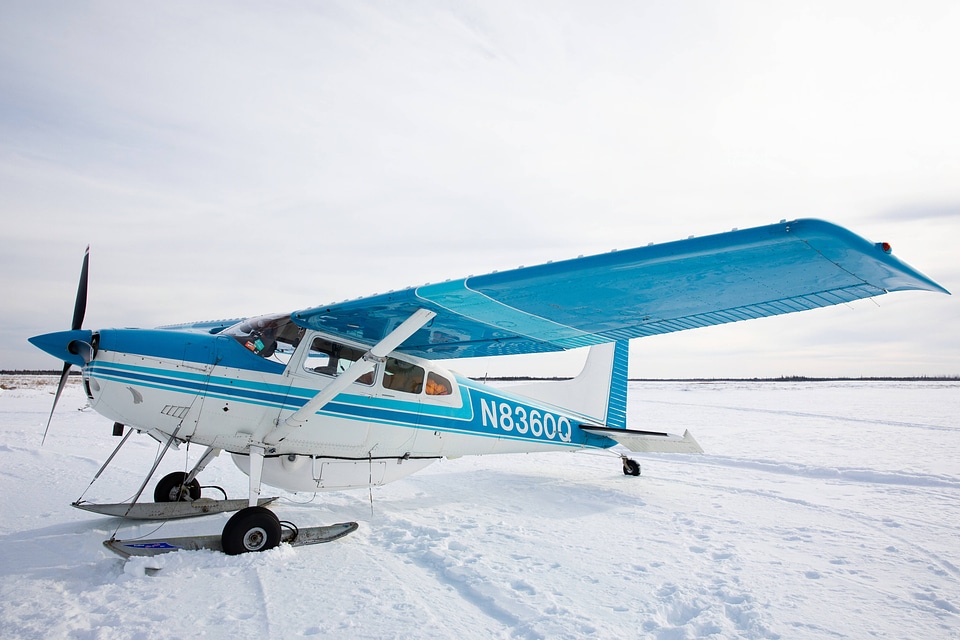 Bush plane used to transport workers to the study site
