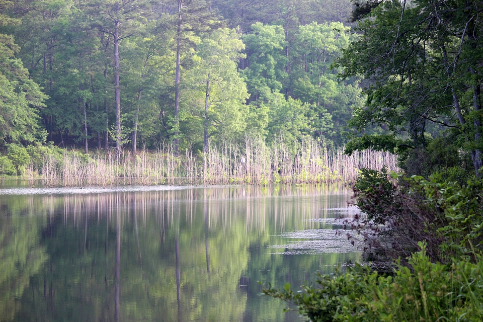 Allison Lake at Piedmont National Wildlife Refuge-2